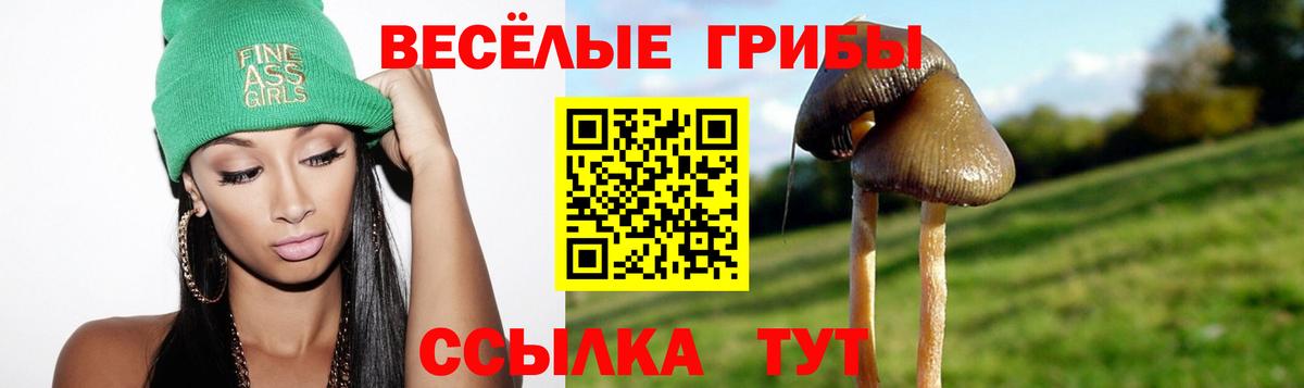 Галлюциногенные грибы Cubensis  Вход с VPN  Галлюциногенные грибы прущие грибы  Аксай 